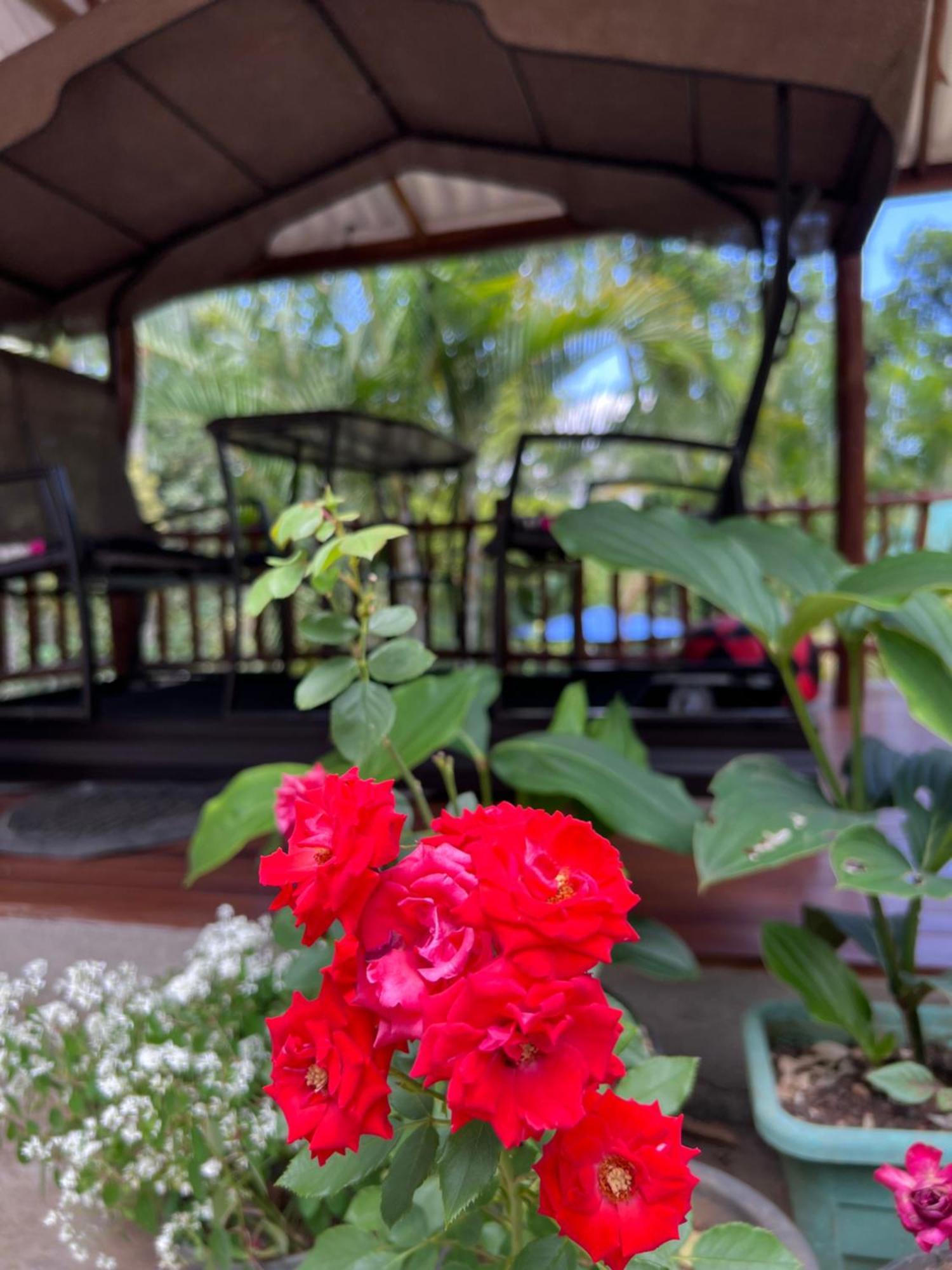 אלה Eeshani Guest Inn מראה חיצוני תמונה