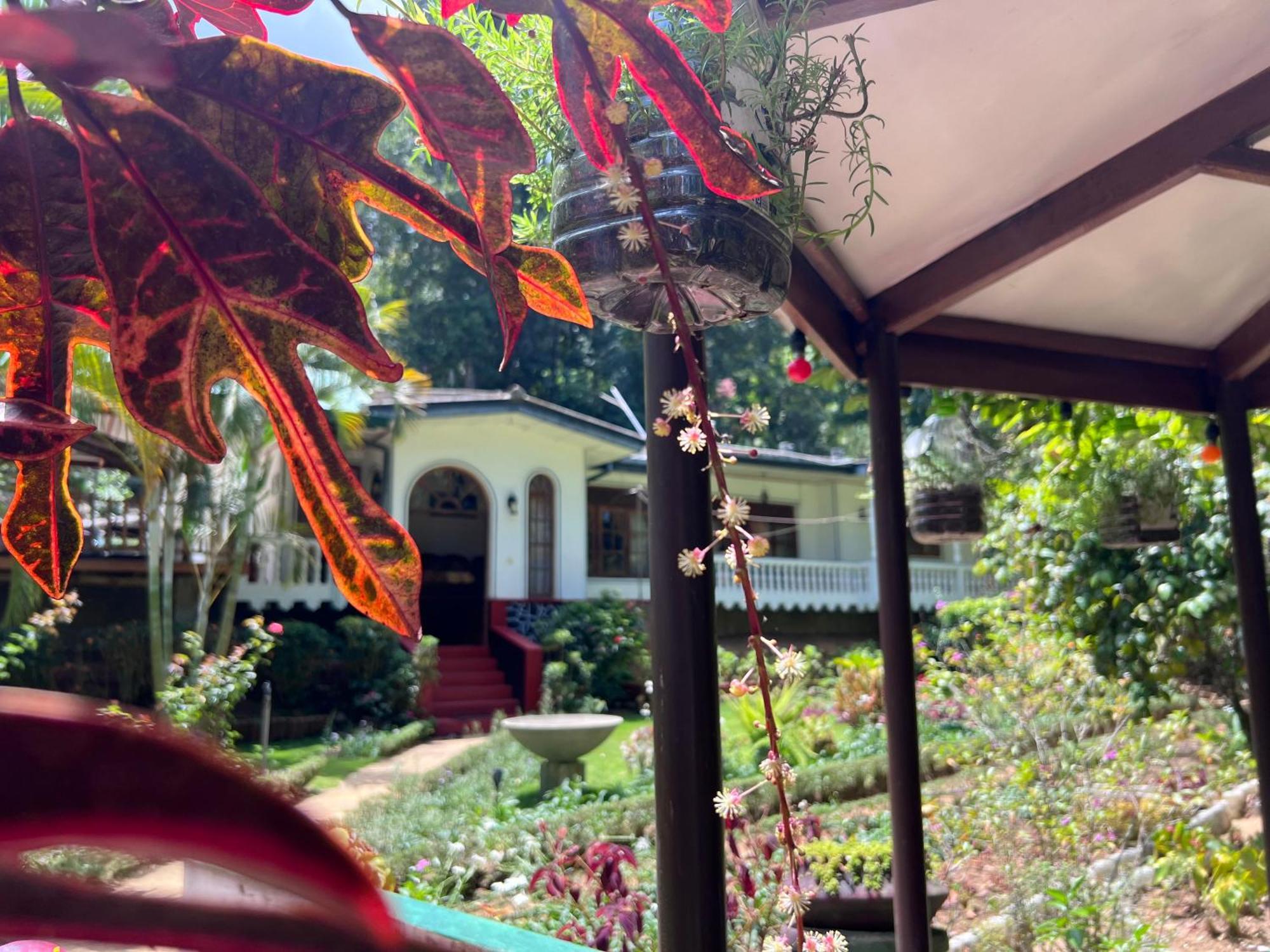 אלה Eeshani Guest Inn מראה חיצוני תמונה